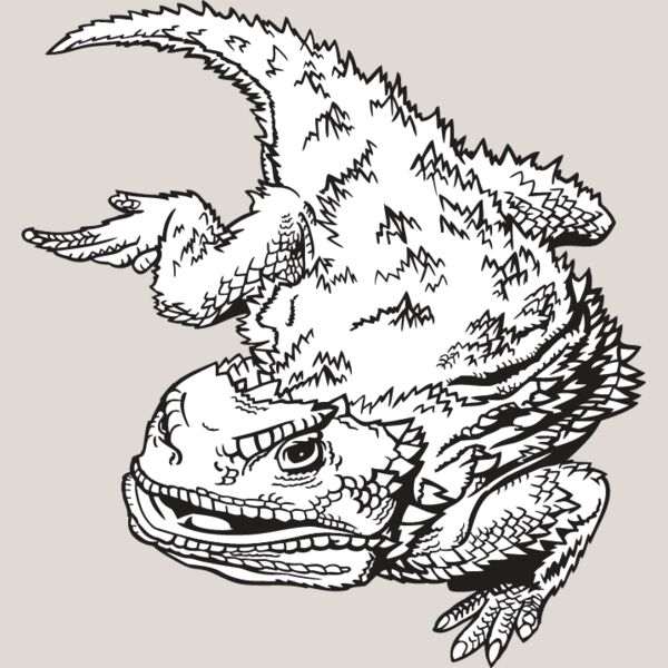 Horned Toad Thumbnail