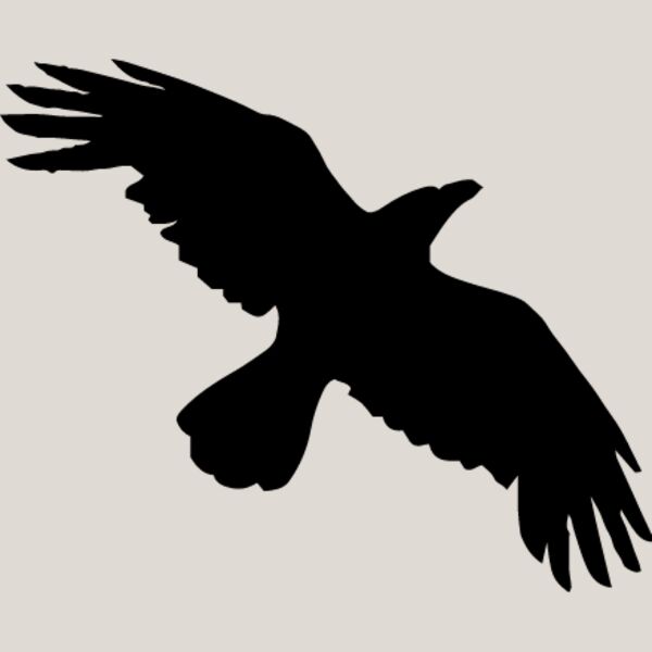 Bird Silhouette2 Thumbnail
