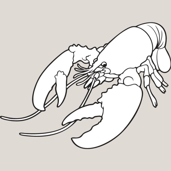 Lobster3 Thumbnail
