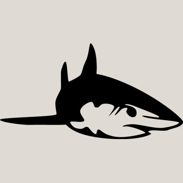 Great White Shark5 Thumbnail