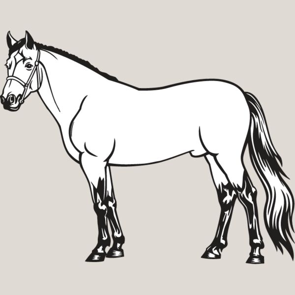 Horse4 Thumbnail