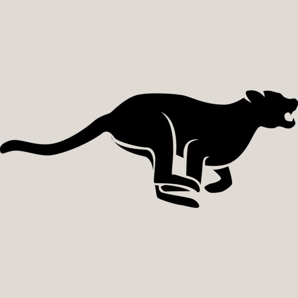 Big Cat  Tiger  Lion  Panther 13 Thumbnail