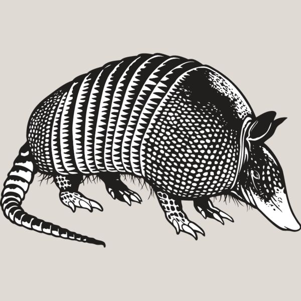 Armadillo2 Thumbnail