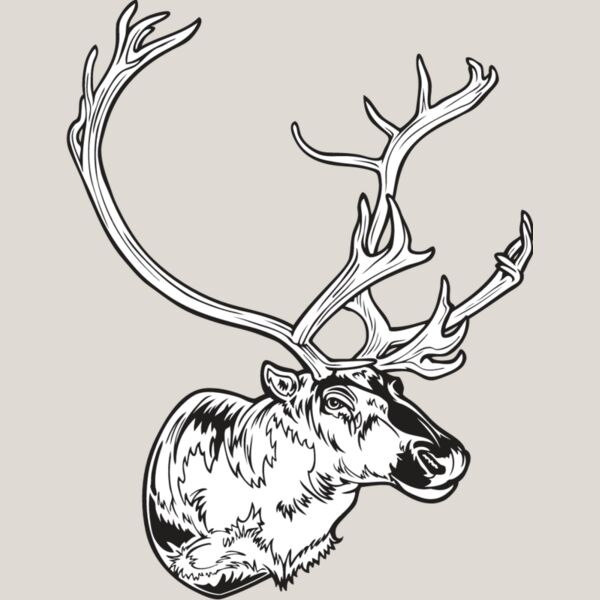 Caribou1 Thumbnail
