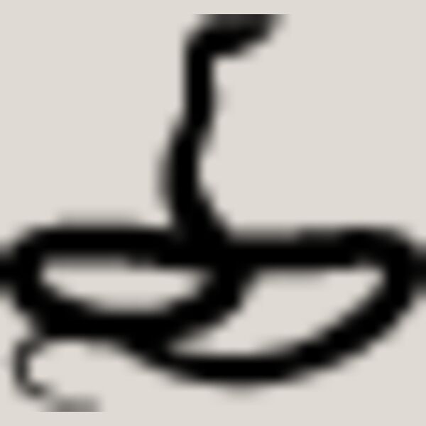 Snake Silhouette12 Thumbnail