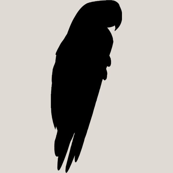 Parrot Silhouette1 Thumbnail