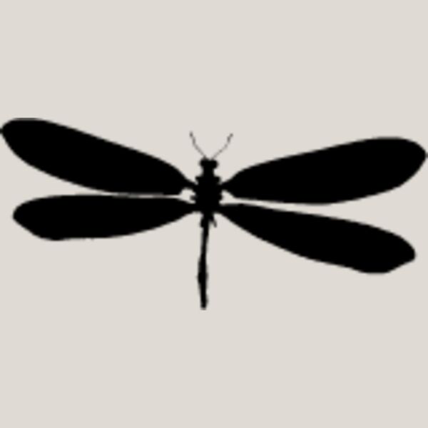 Flying Insect4 Thumbnail