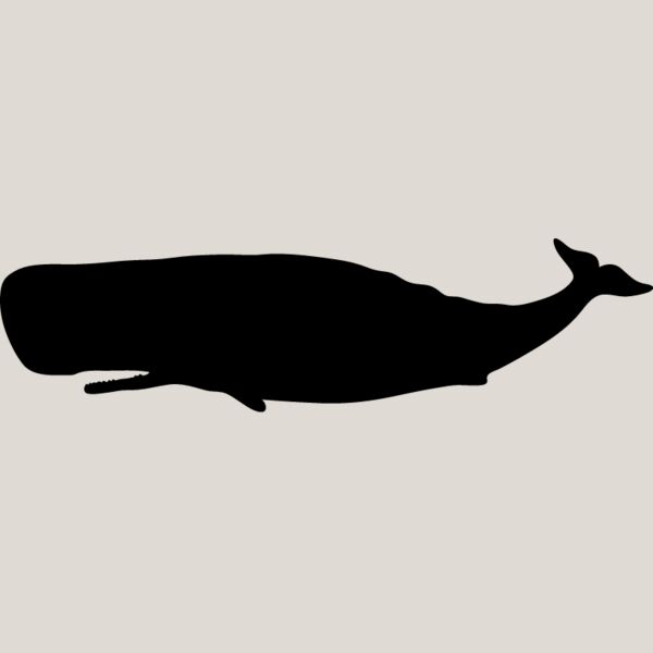 Blue Whale2 Thumbnail