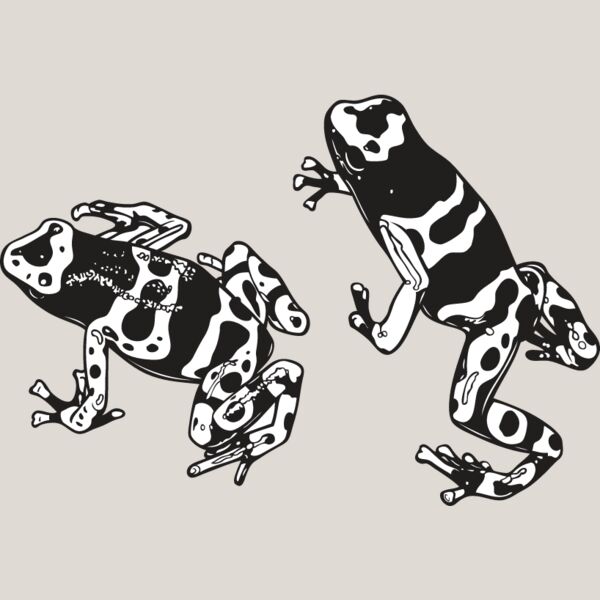 Frogs Thumbnail