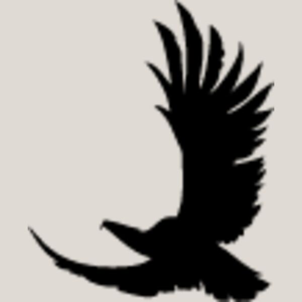 Flying Eagle Silhouette10 Thumbnail