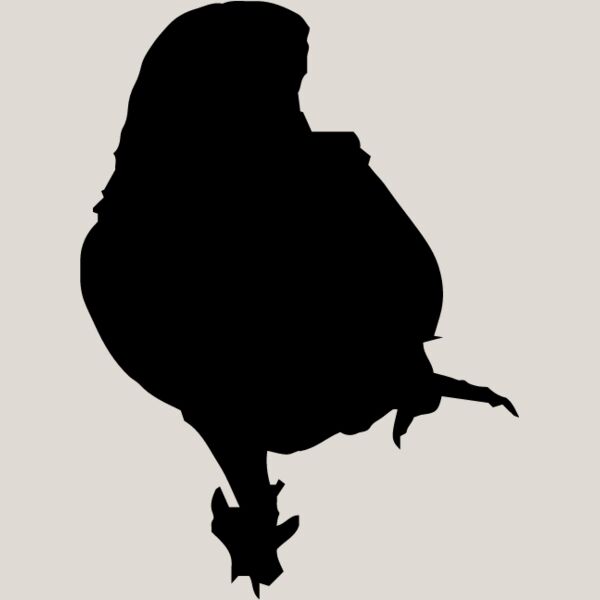 Parrot Silhouette5 Thumbnail