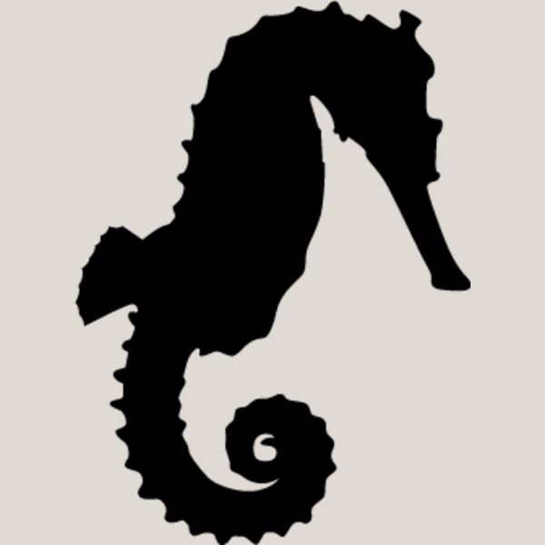 Seahorse4 Thumbnail