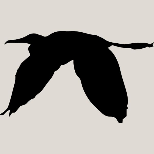 Bird Silhouette7 Thumbnail