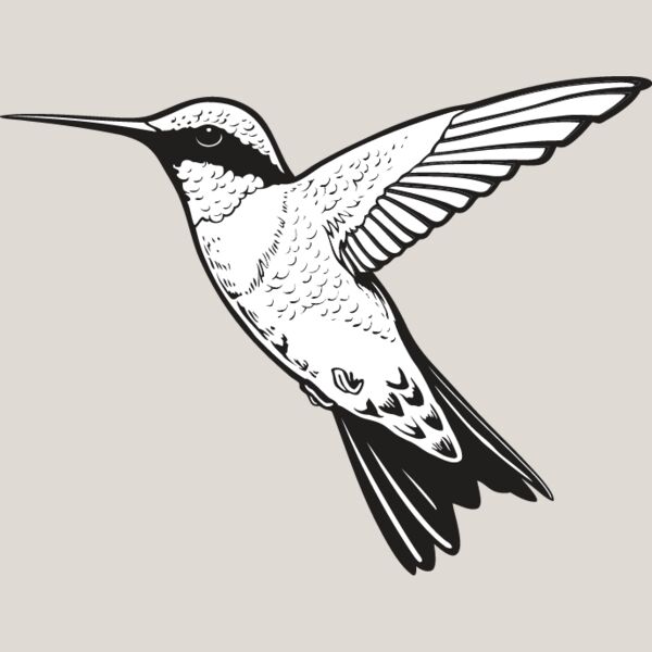 Hummingbird Thumbnail