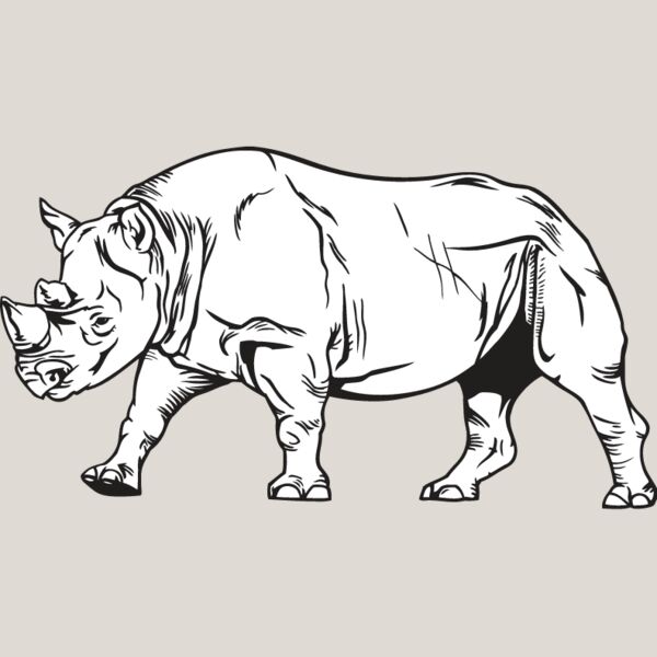 Rhinoceros1 Thumbnail