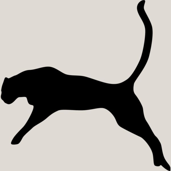 Big Cat  Tiger  Lion  Panther 28 Thumbnail