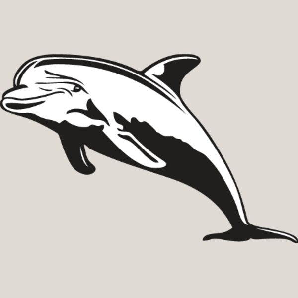 Dolphin1 Thumbnail