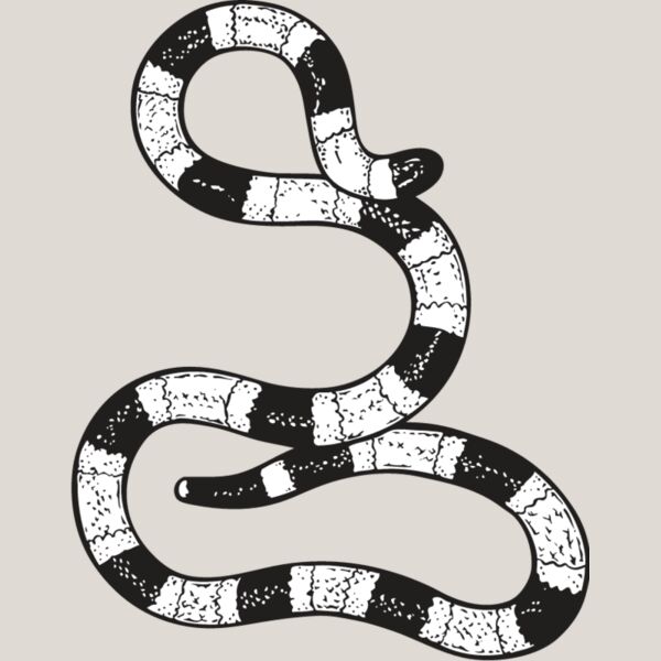 Coral Snake Thumbnail