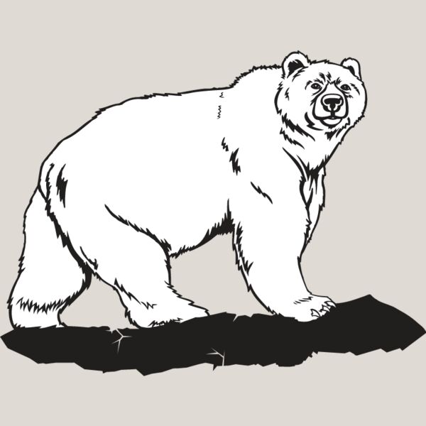 Grizzly Bear Thumbnail