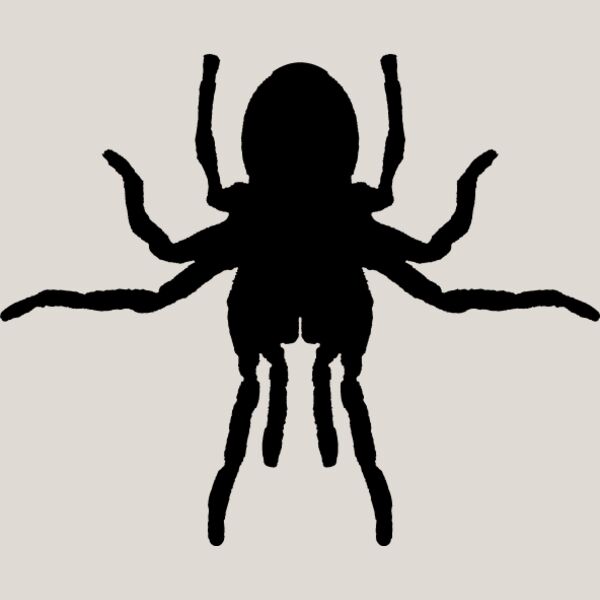 Spider Silhouette15 Thumbnail