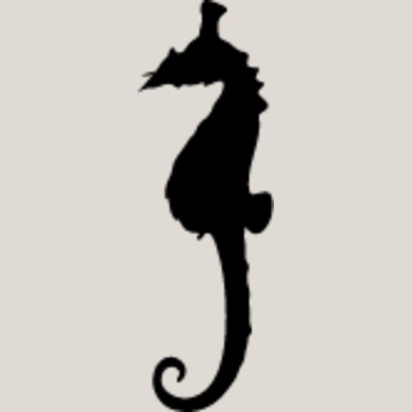 Seahorse1 Thumbnail