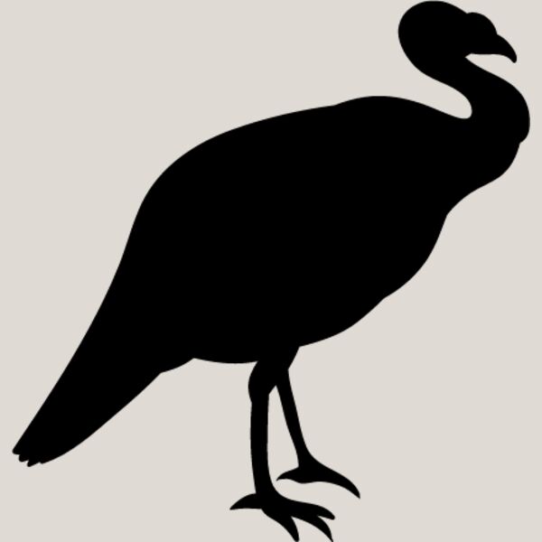 Wild Turkey1 Thumbnail