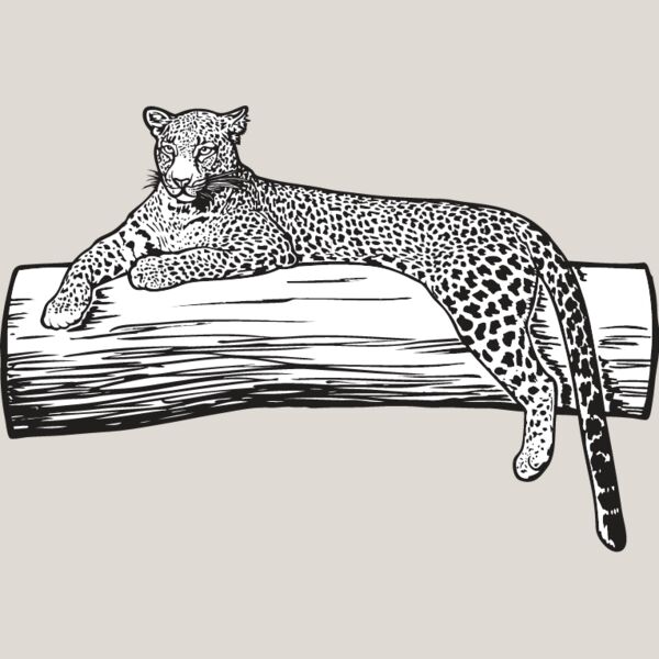 Leopard Thumbnail