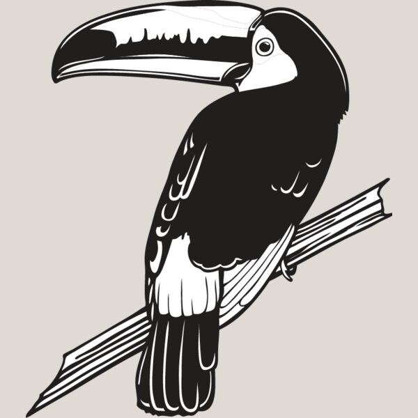 Toucan1 Thumbnail