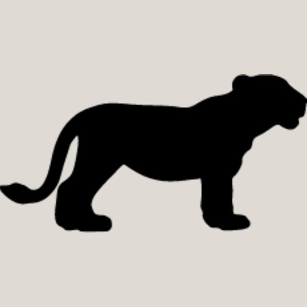 Big Cat  Tiger  Lion  Panther 18 Thumbnail