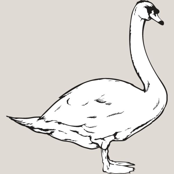 Swan1 Thumbnail