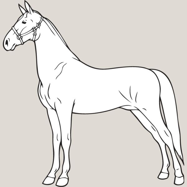Horse3 Thumbnail