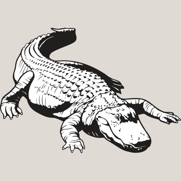 Alligator1 Thumbnail