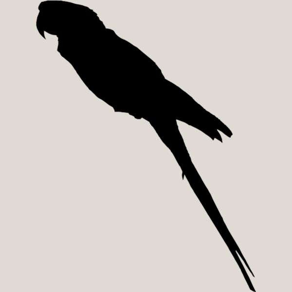 Parrot Silhouette2 Thumbnail
