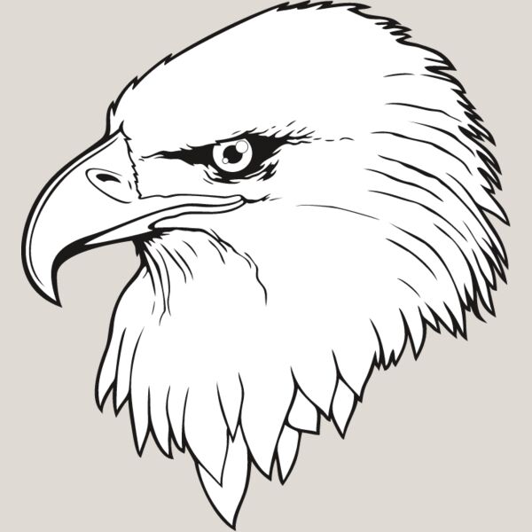 Eagle8 Thumbnail