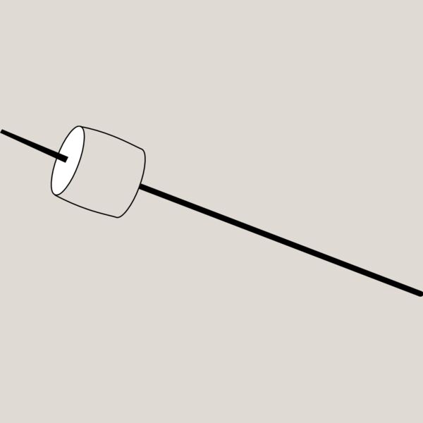 Roasting Marshmallow Thumbnail