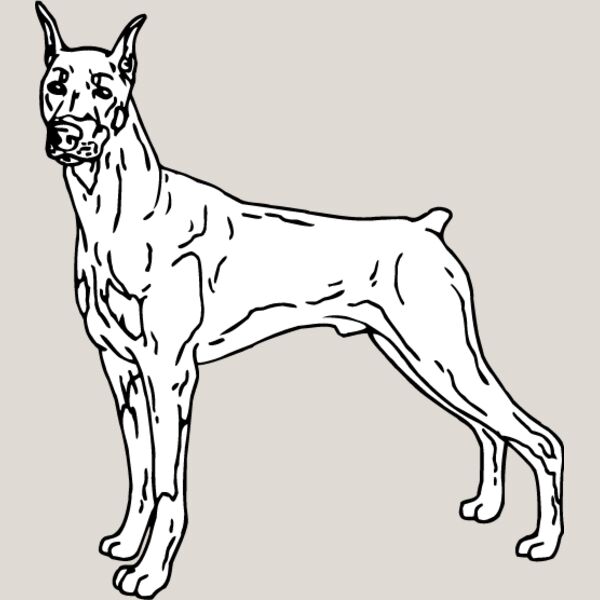 Doberman1 Thumbnail