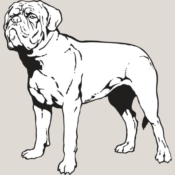 French Mastiff Thumbnail