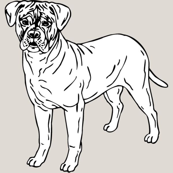 Bull Mastiff1 Thumbnail