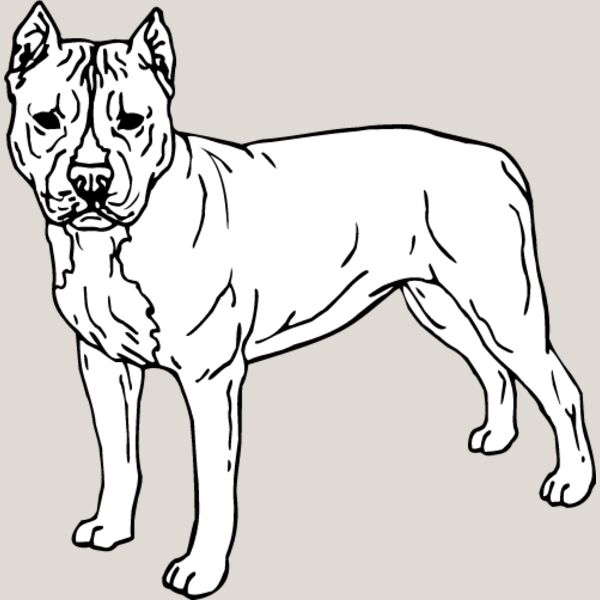 Staffordshire Bull Terrier3 Thumbnail
