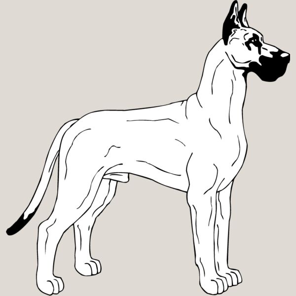 Great Dane1 Thumbnail