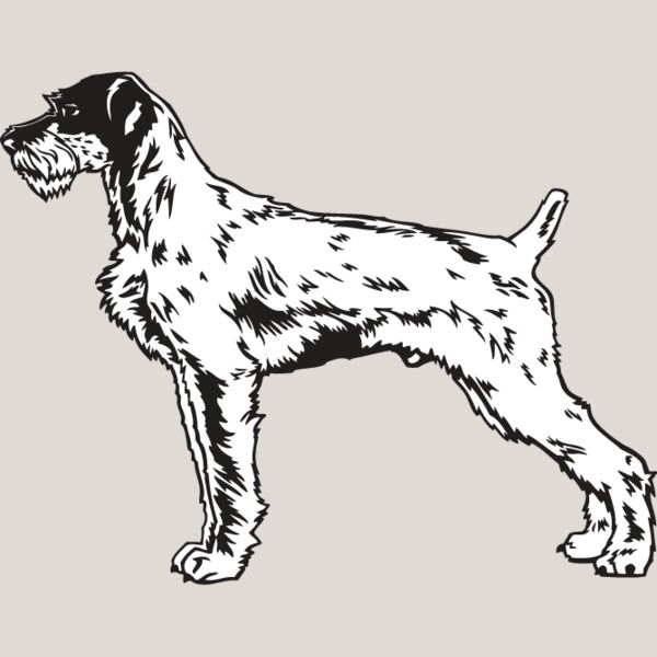 Wirehaired Pointer1 Thumbnail