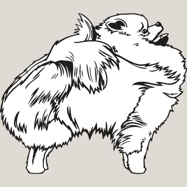 Pomeranian3 Thumbnail