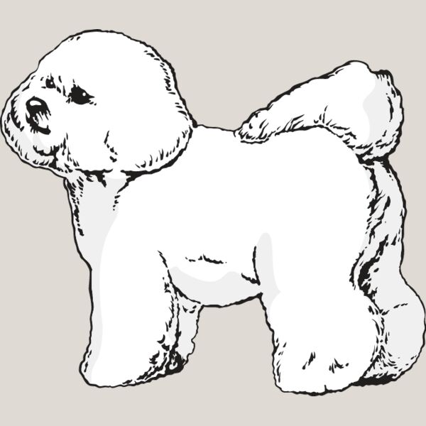 Bichon Frise1 Thumbnail