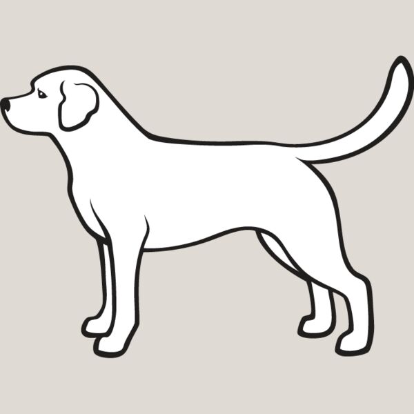 Labrador Retriever1 Thumbnail