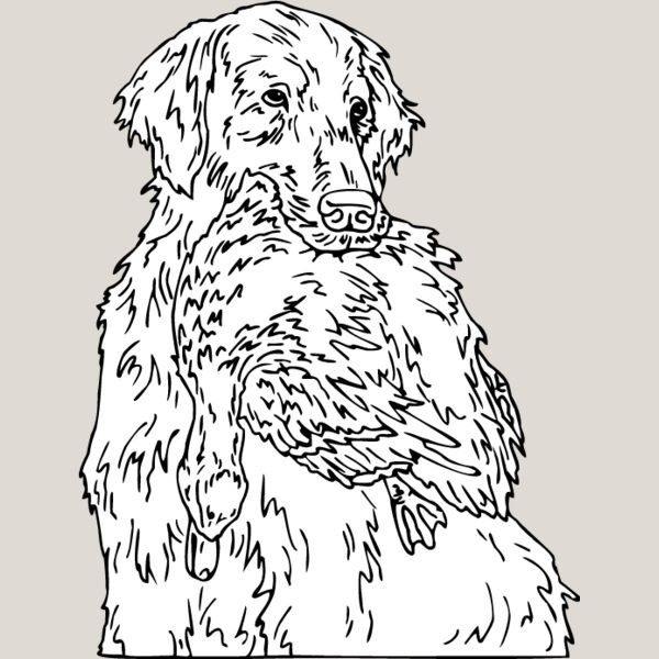 Golden Retriever2 Thumbnail