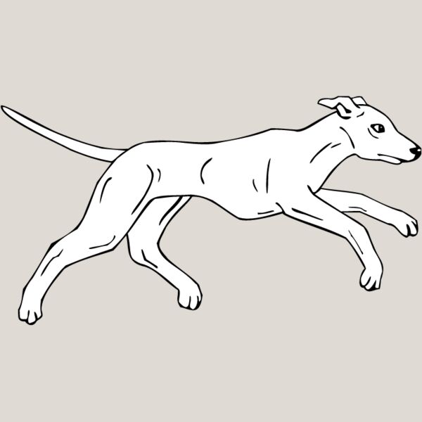 Whippet2 Thumbnail