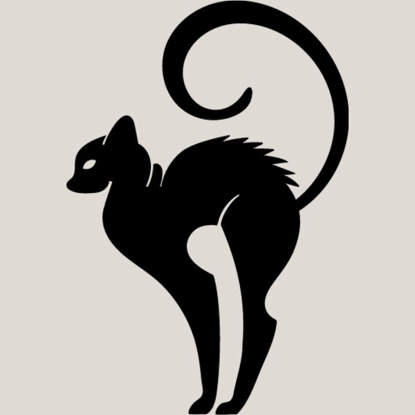 Elegant Cat4 Thumbnail