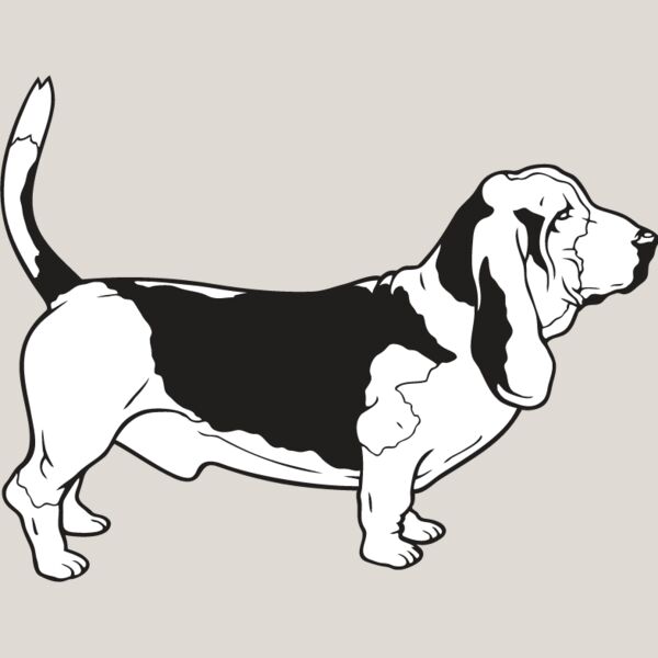 Basset Hound Thumbnail