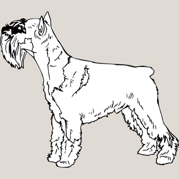 Standard Terrier Thumbnail