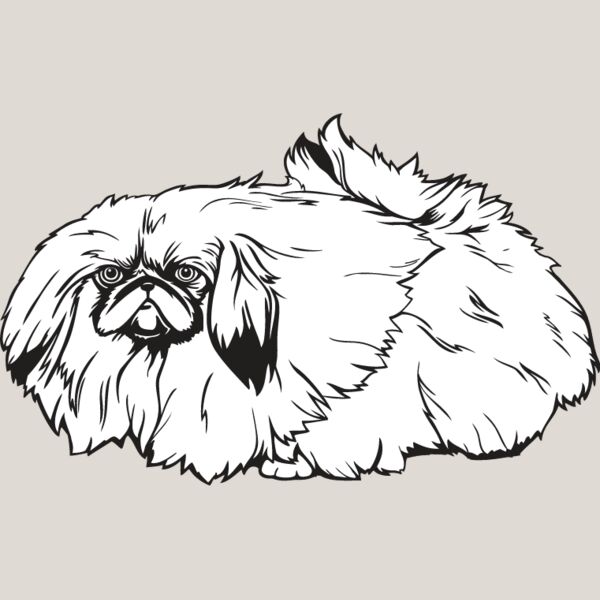 Pekingese Thumbnail